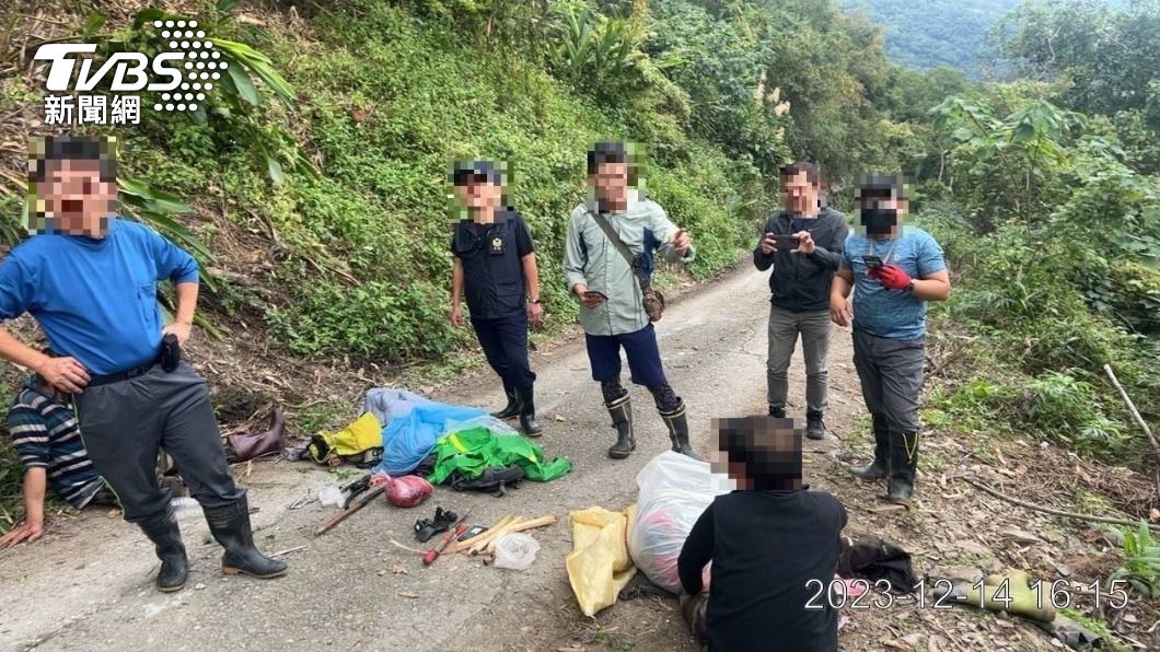 花蓮3隻山老鼠盜採逾10萬元牛樟芝　累犯還辯「自用」