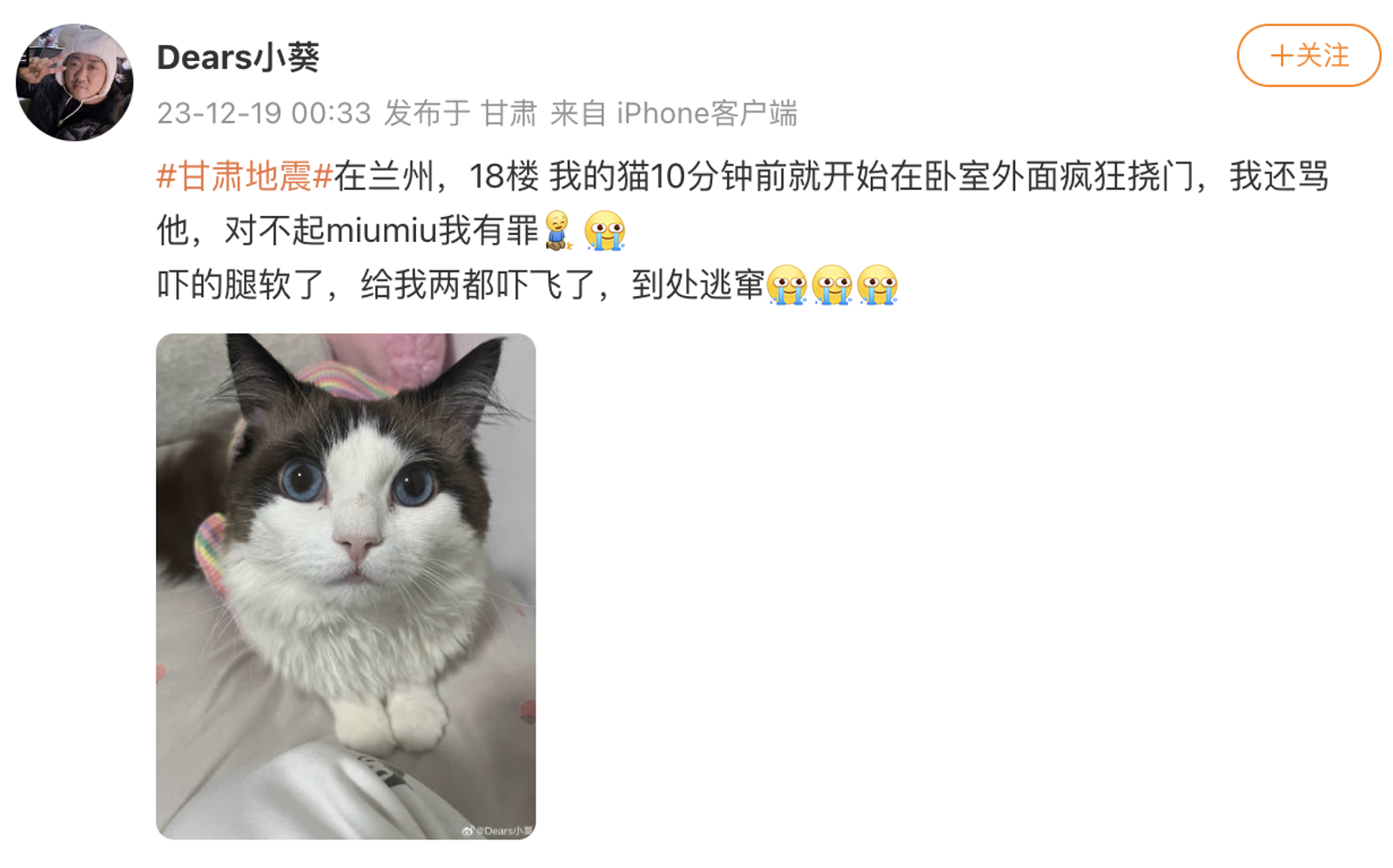 住在蘭州的一名飼主分享，自家貓咪在地震發生前10分鐘早已預告。（翻攝自微博）