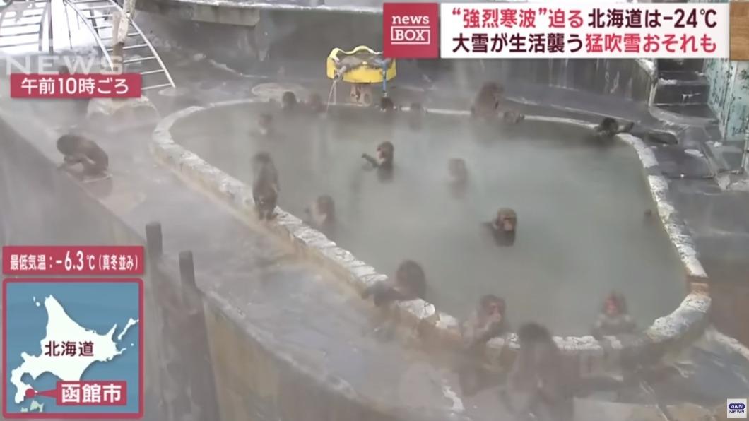 猴子也在寒冷中跳入溫泉泡湯。(圖/翻攝自ANNnewsCH YT頻道)
