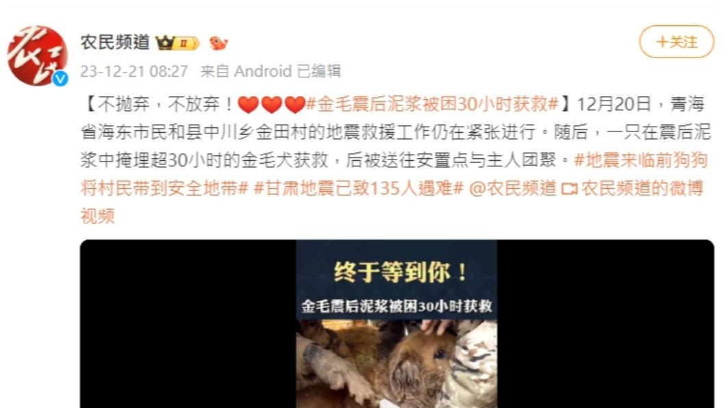農民頻道分享,這隻黃金獵犬已遭泥漿掩蓋超過30小時。(圖/翻攝自微博)