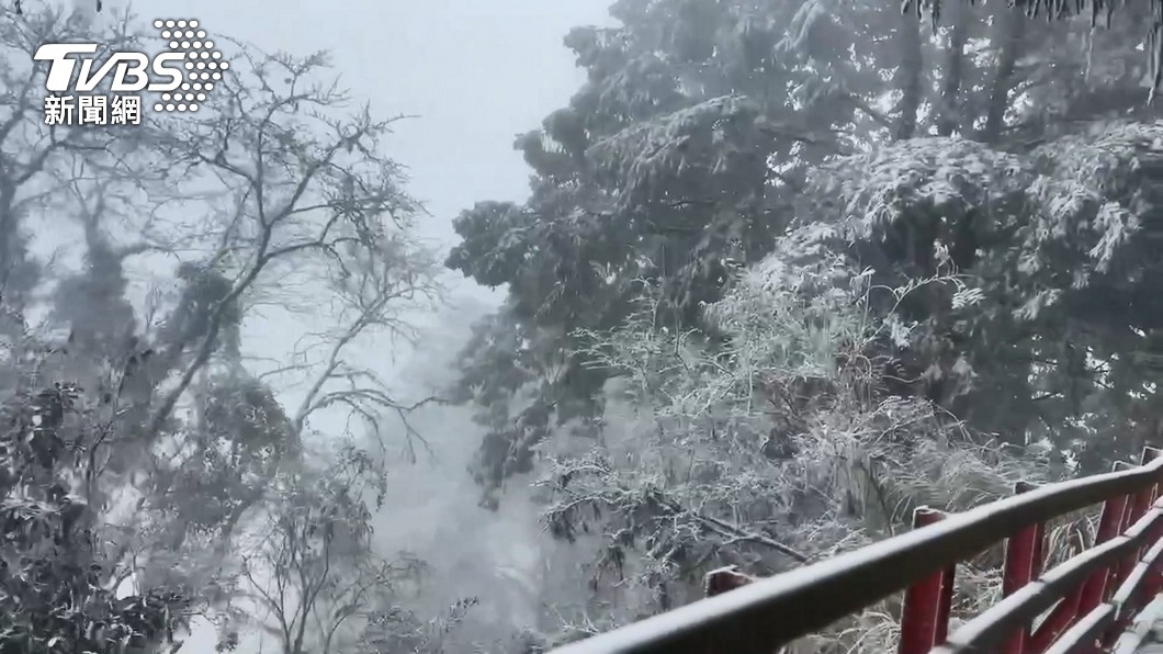 宜蘭太平山喜迎今年初雪時間曝 專家最推這3賞雪點