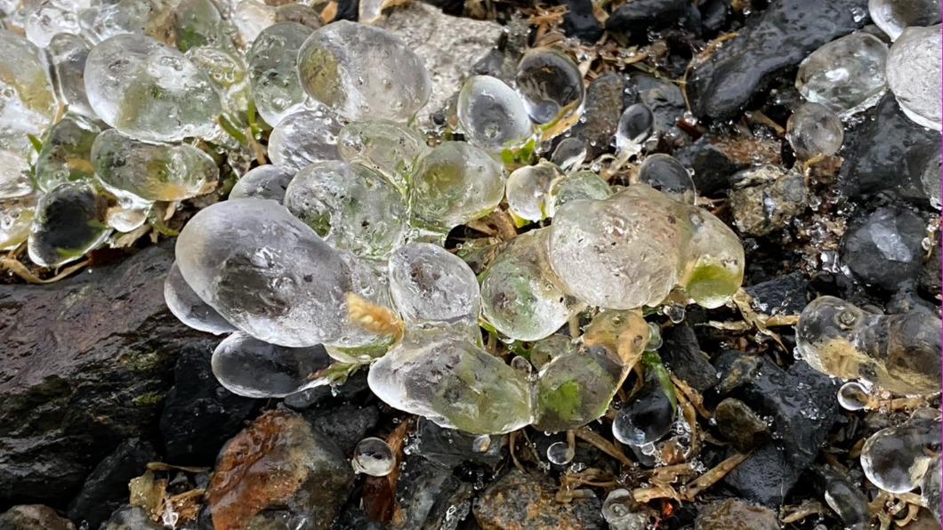 玉山主峰下了一整夜的冰雨。(圖/氣象署)