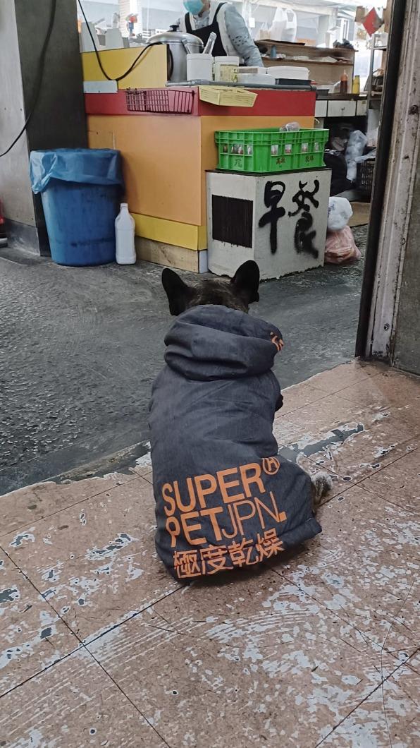 原PO在路上看見一隻小黑狗身穿Superdry羽絨外套。(圖/翻攝自「路上觀察學院」臉書)