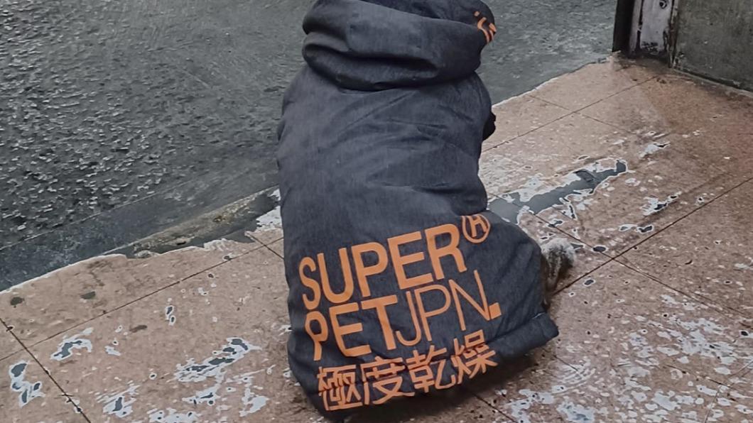 寒流來襲免驚!路邊小黑「Superdry」加身 全場嘆:人不如狗