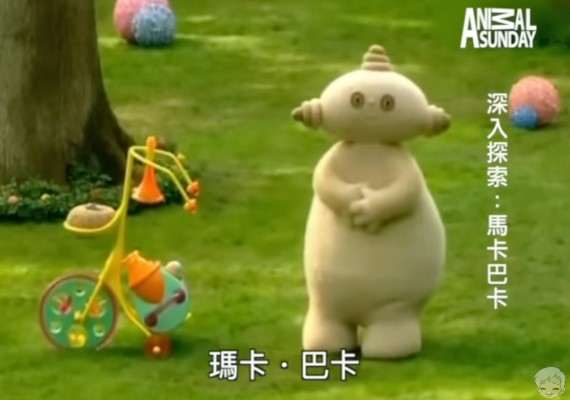 瑪卡巴卡被拿來當作晚安的代稱。(圖/翻攝自星期天YT)
