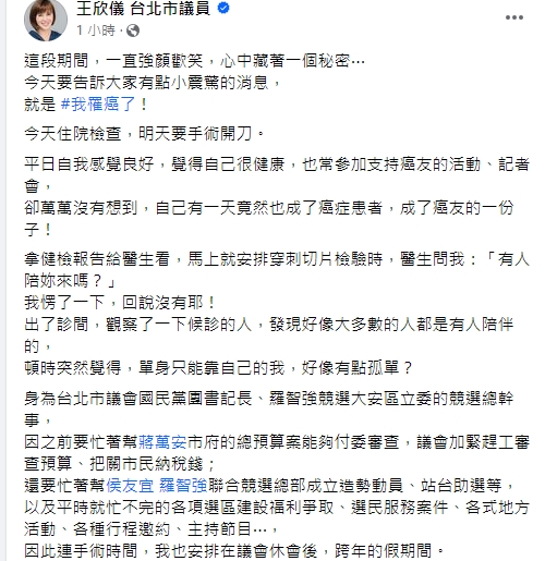 台北市國民黨議員王欣儀自爆罹癌。(圖/翻攝王欣儀臉書)