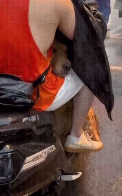 圖/翻攝自微博