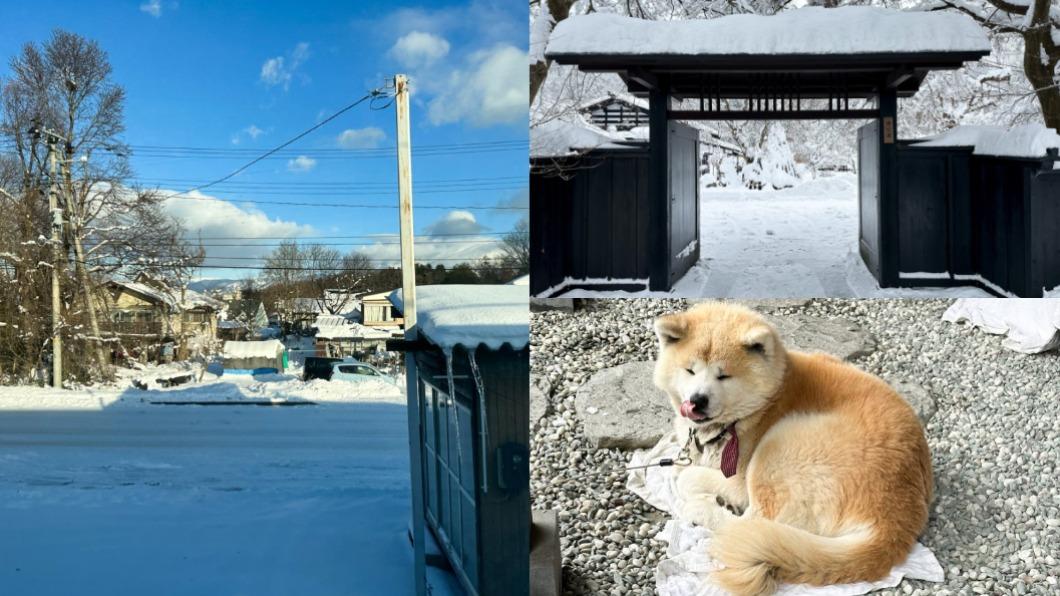 日本必遊景點再＋1！「東北小京都」絕美雪景　秋田犬迎客萌翻