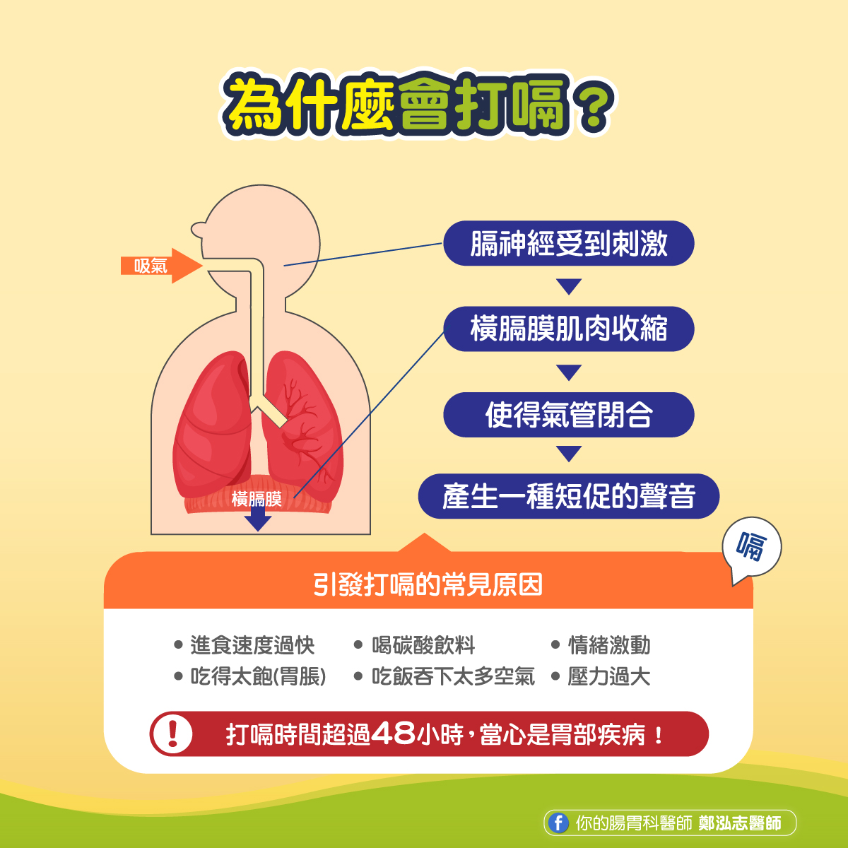 膈神經受到刺激導致橫膈膜肌肉收縮,氣管閉合引起打嗝。(圖/翻攝自鄭泓志臉書)