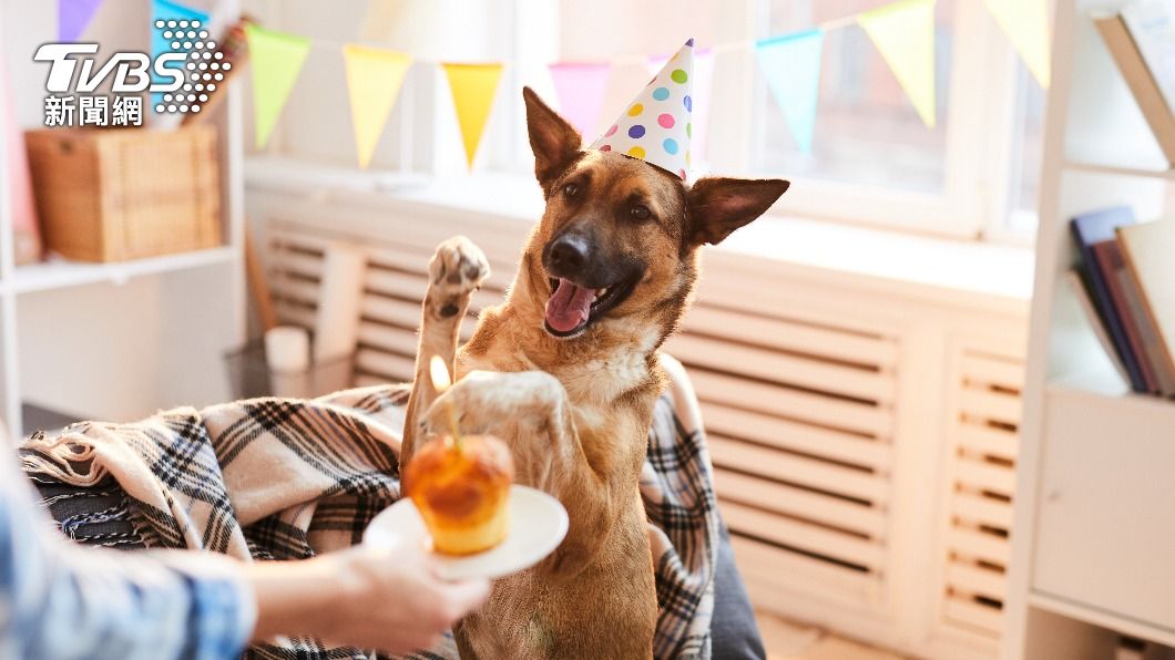 買蛋糕幫愛犬慶生!男友火大嗆「人不如狗」:我媽你沒送