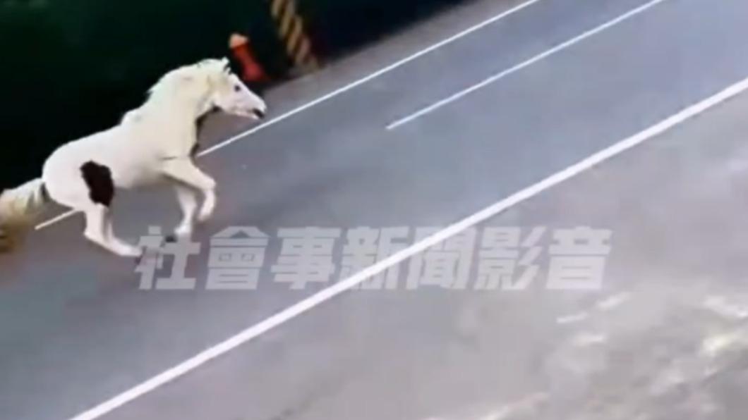 仁德區第一次出現有馬逛大街。(圖/翻攝自社會事新聞影音)