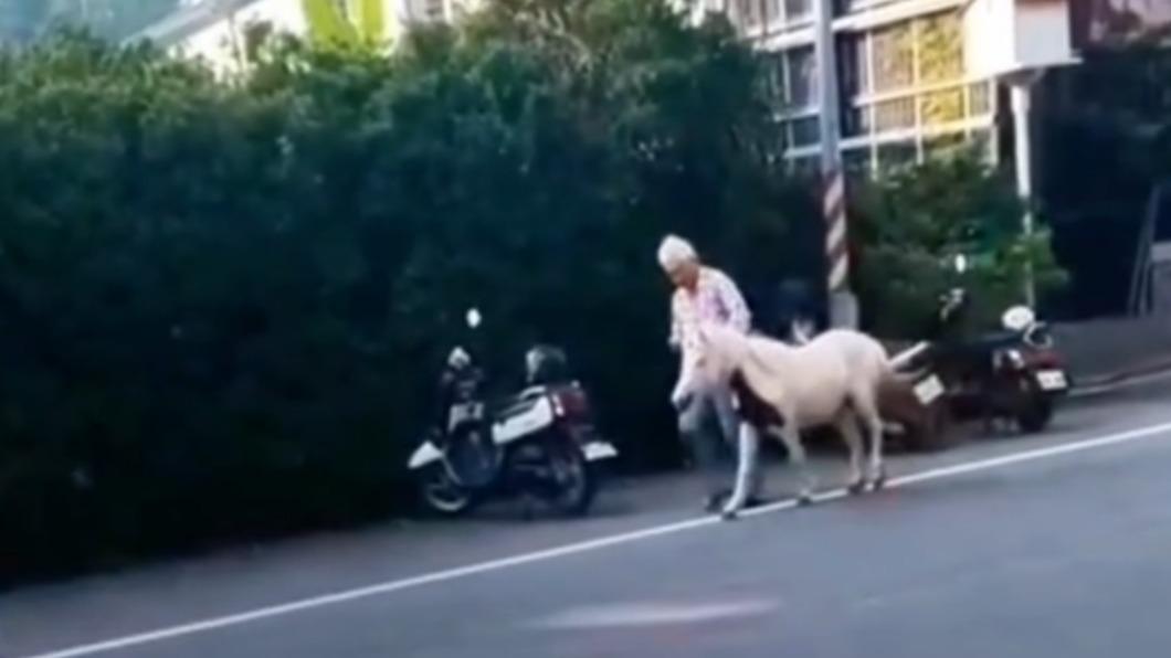飼主追回帶走。(圖/翻攝自社會事新聞影音)