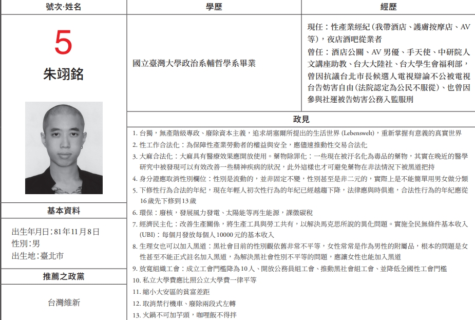 朱翊銘主張性工作與大麻合法化。（圖／翻攝自選舉公報）