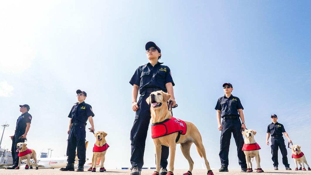 防檢署稱,該職位起薪為37K,最高可到45K。(圖/翻攝自海關緝毒犬粉絲專頁)