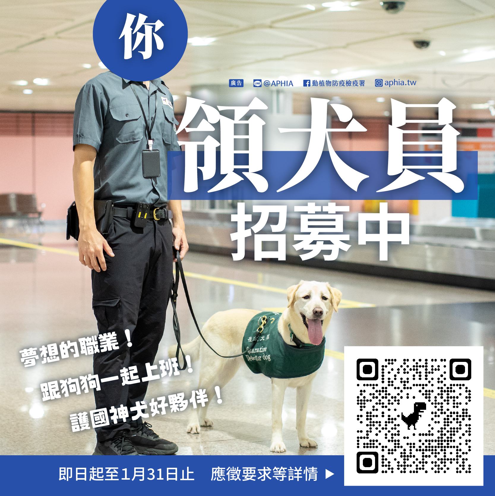 領犬員工作招募中。(圖/翻攝自動植物防疫檢疫署粉絲專頁)