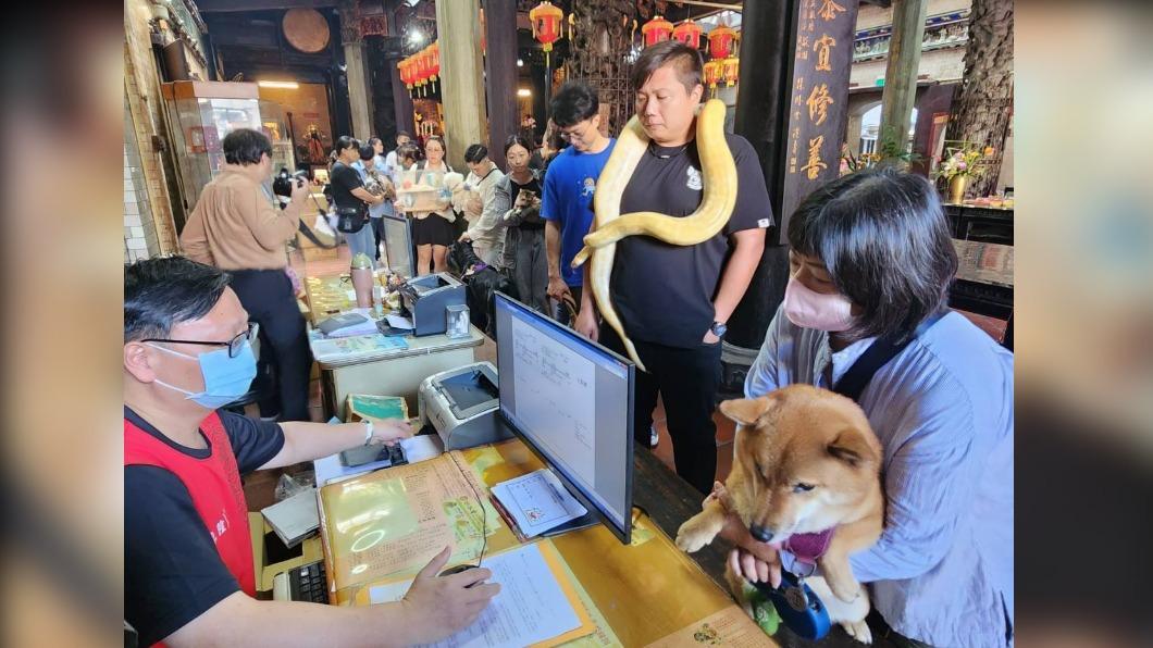 買寵物平安燈送主人光明燈!網讚嘉義城隍廟:觀念正確我要去