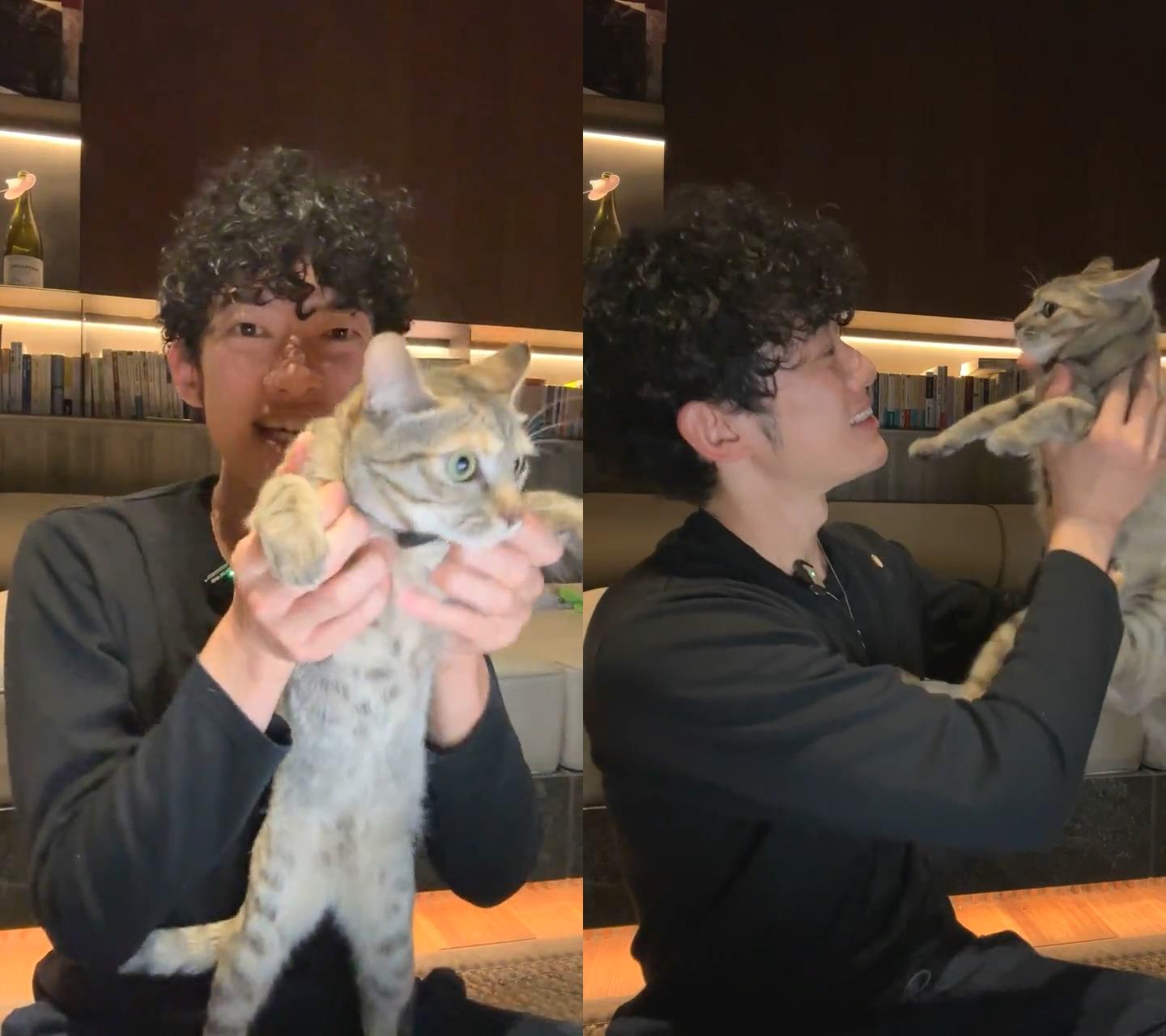 DaiGo曾在直播上曬貓,也是知名貓奴。(圖/翻攝自DaiGo IG)