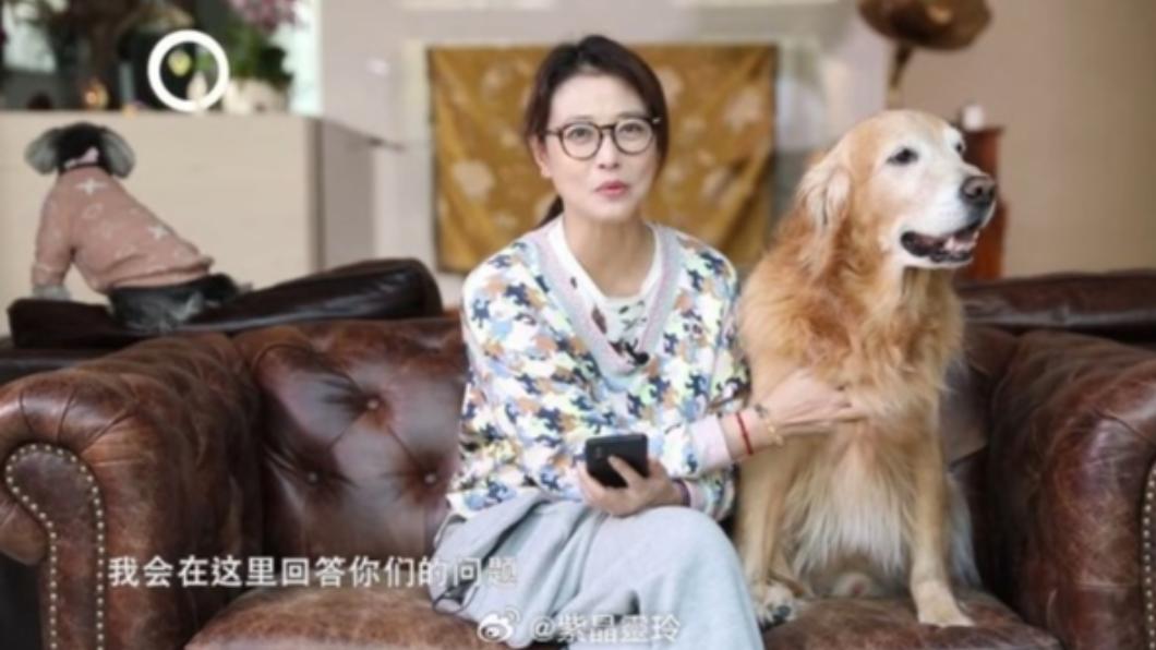 周海媚為愛犬周六六在抖音創辦帳號,經常曬出兩人私下互動。(圖/翻攝自紫晶靈玲微博)