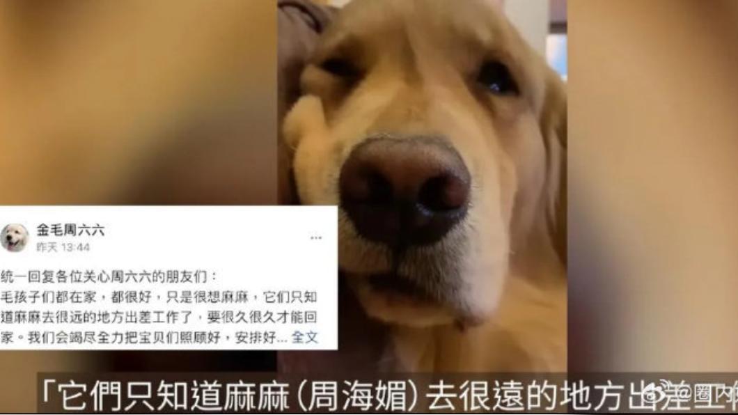 保姆收養了周六六,但她推測周六六應該知道麻麻周海媚已離世,整天黯然神傷。(圖/翻攝自圈內妹妹微博)