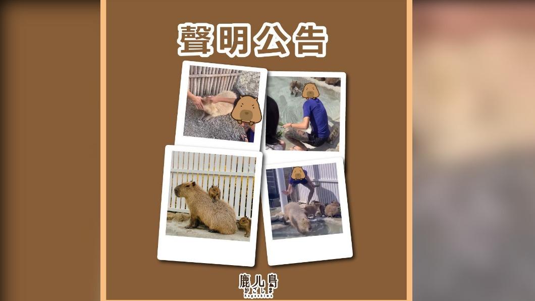 園方事後發出聲明公告,若造成傷亡更會追究其賠償責任。(圖/翻攝自鹿ㄦ島Paradise of capybara臉書)
