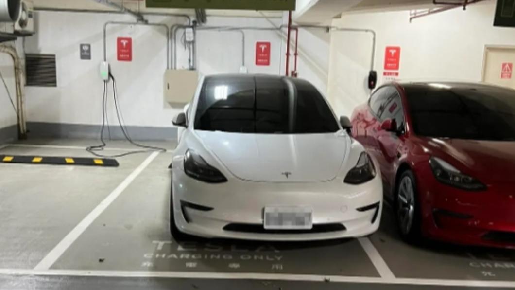 特斯拉亂停車！遭公審「停狗屎樣」　車主現身回嗆：不爽歡迎砸車