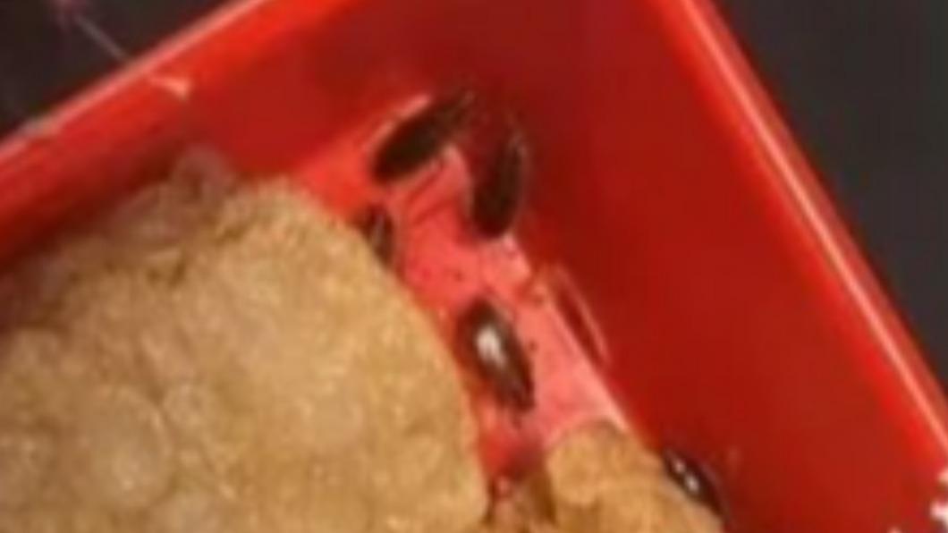 上菜看傻!台中吃迴轉火鍋「點豆皮送蟑螂」還不只1隻