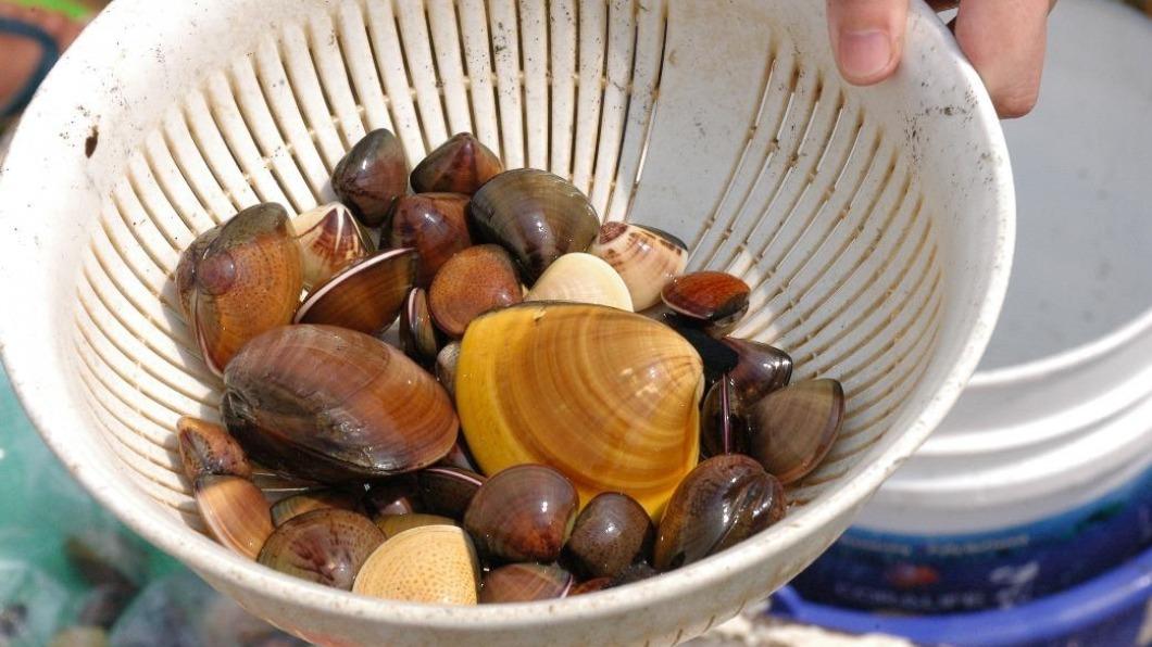 瓦薩娜向海鮮攤販購買5公斤的甲殼貝類,卻有意外收穫。(圖/農委會水試所提供)