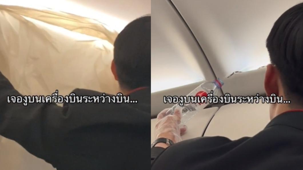 飛機驚見「蛇在高空爬行」!乘客嚇傻跑走道避難 空少出招了