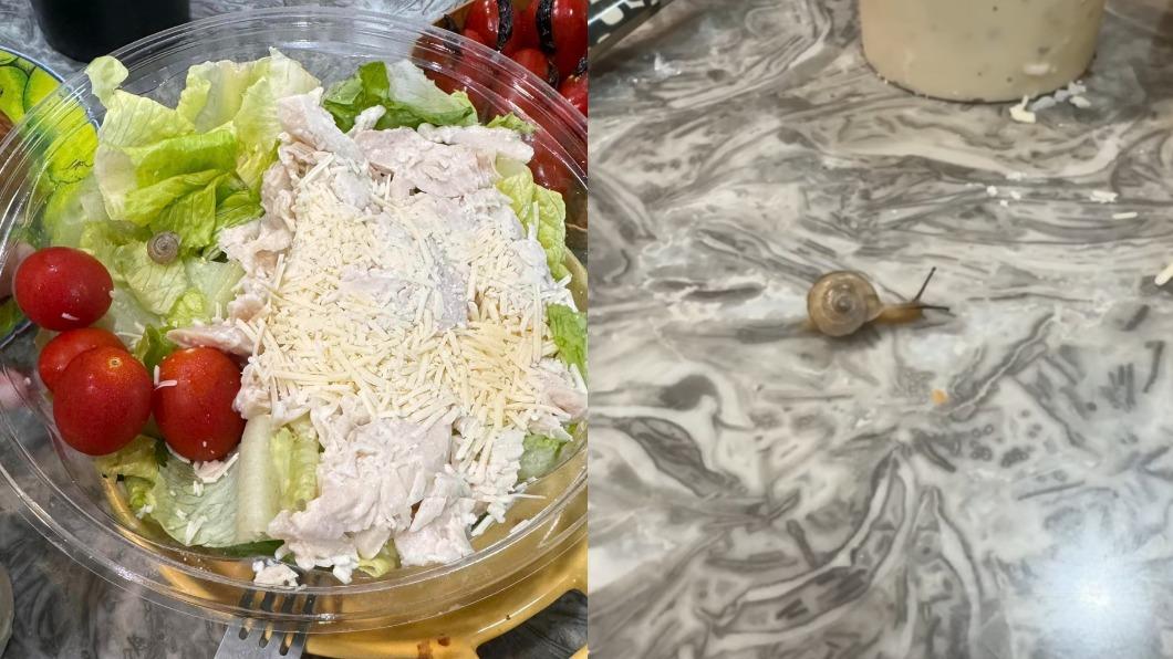 好市多沙拉冰整晚!打開「有蝸牛在爬」 會員驚:生菜都沒洗?