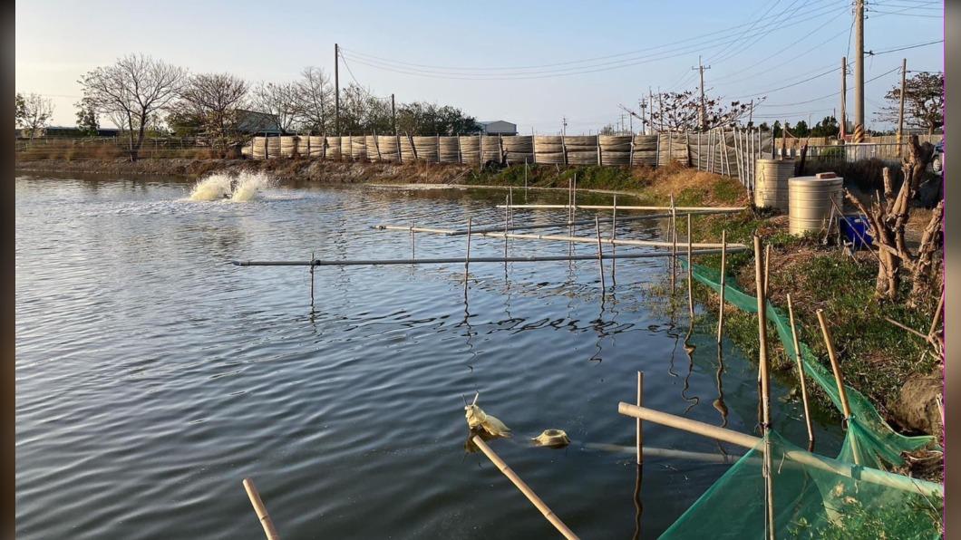 寒流21日來「怕魚死光」! 漁業署出七招籲漁民這樣做