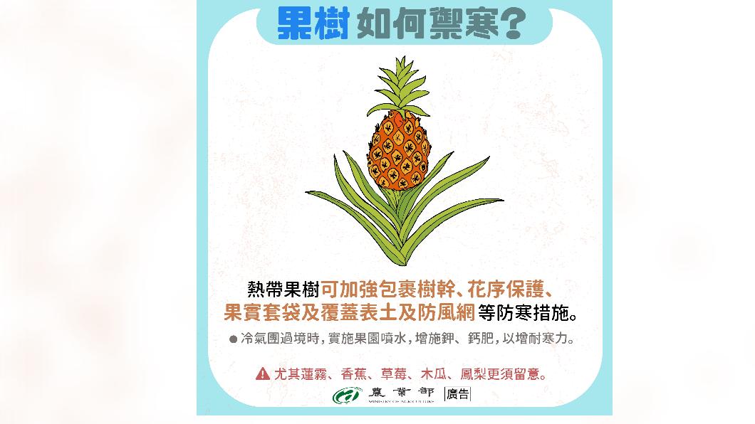 農業布農糧署呼籲農友提早防寒農作,減少災損。(圖/農業部提供)