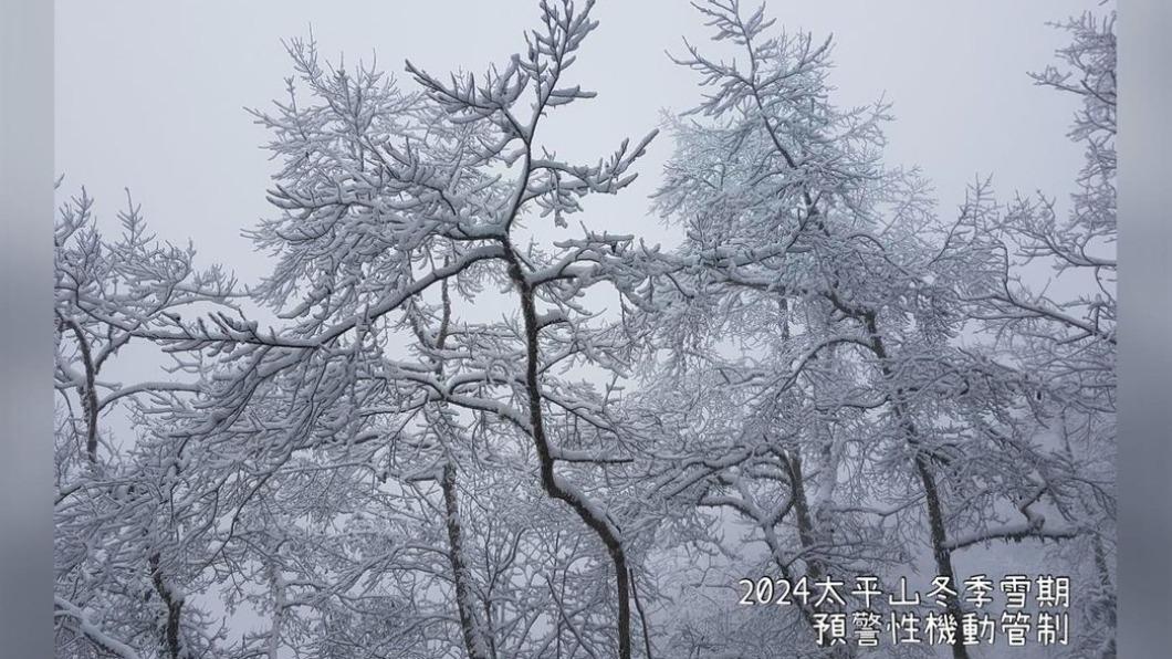 園方為因應降雪與遊客安全,將啟動機動管制措施。(圖/翻攝自太平山國家森林遊樂區臉書)