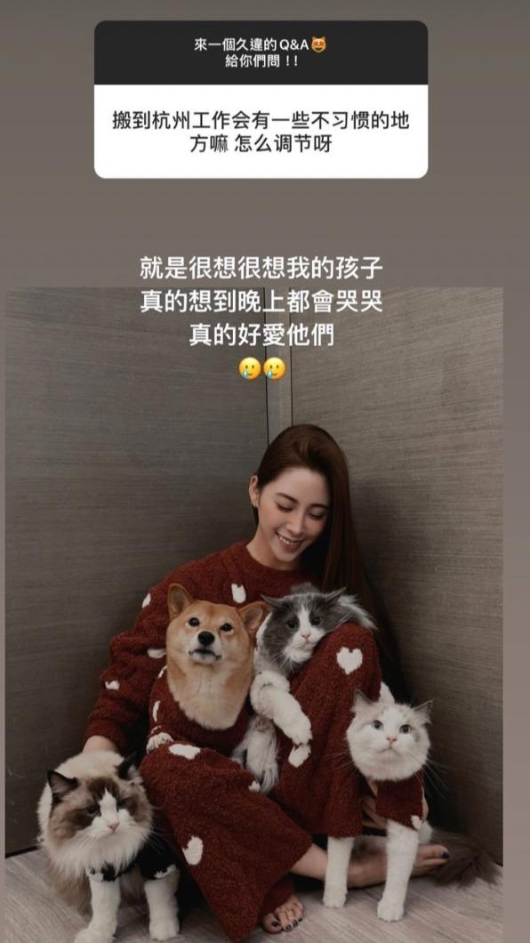 歐陽妮妮很愛她的毛小孩們。(圖/翻攝自歐陽妮妮IG)