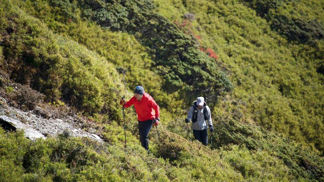 越野跑者破紀錄!八天半完成中央山脈大縱走 親揭意見分歧