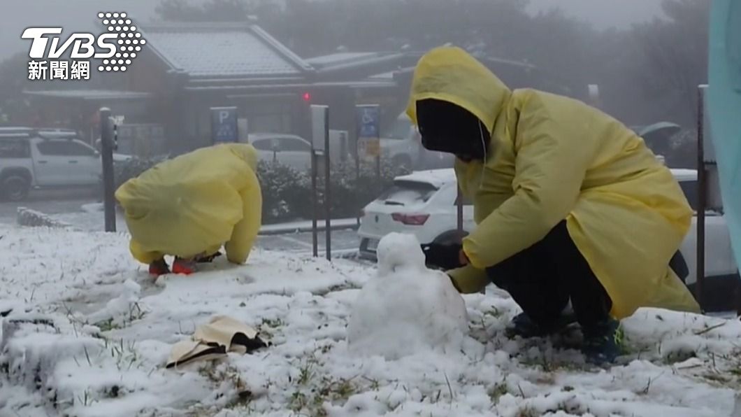 陽明山迎降雪!積雪厚達1cm 「鞍部、七星山」成銀白世界