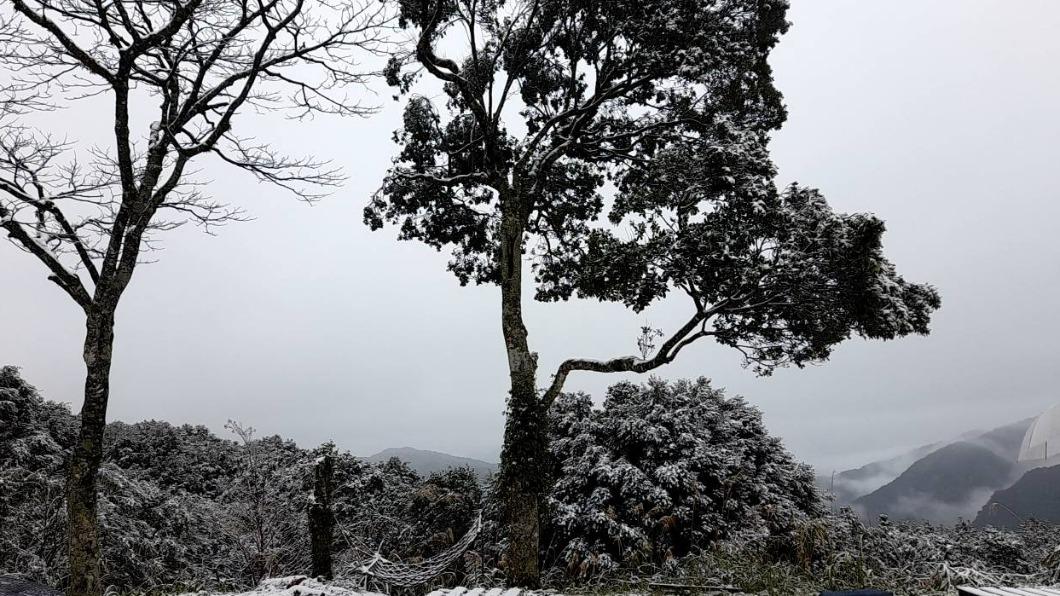 烏來967高地也降雪了。(圖/民眾提供)