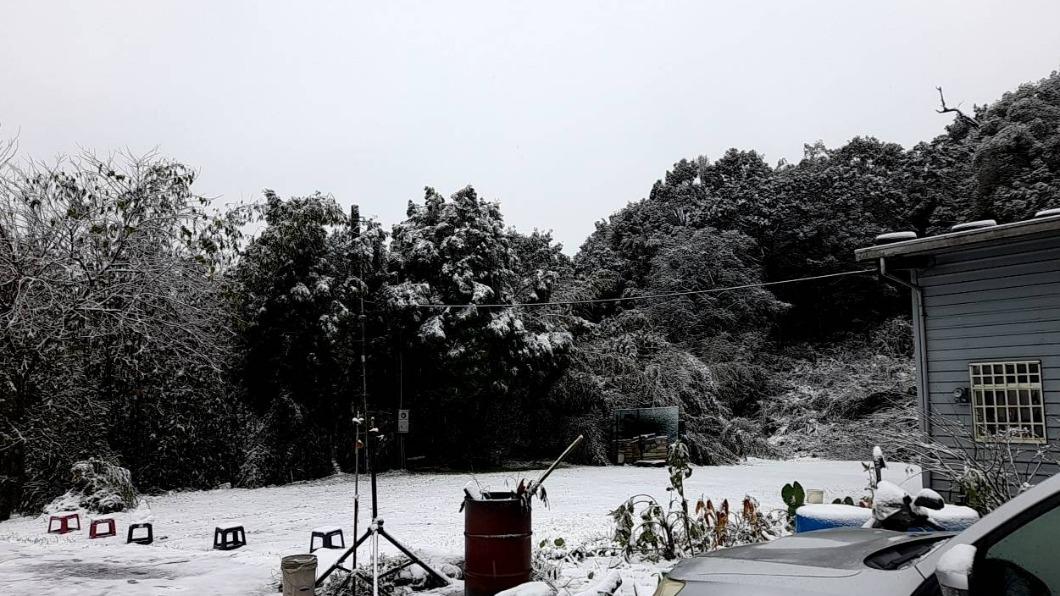 烏來山區沿路下雪!967高地「鋪白色地毯」積雪1公分厚