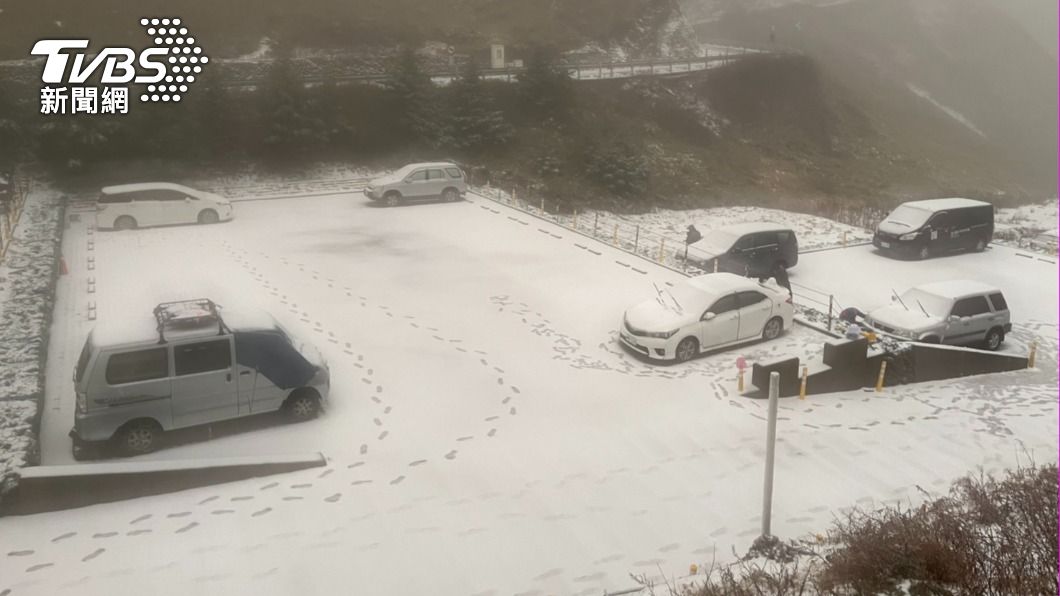 地面如被白雪地毯覆蓋。(圖/林業保育署南投分署提供)