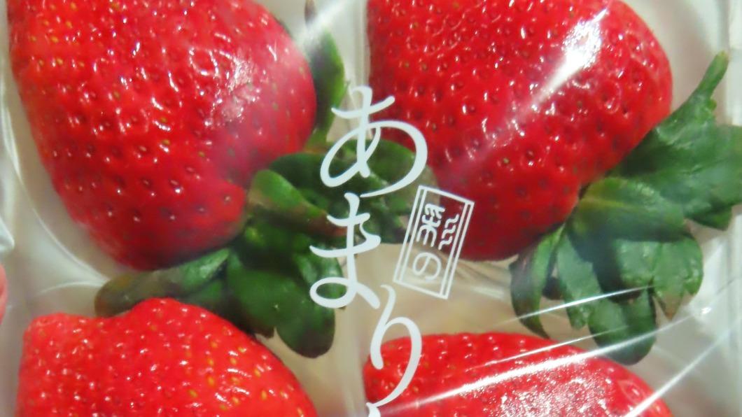 日本草莓再檢出農藥 食藥署:6家日本廠暫停輸入一個月