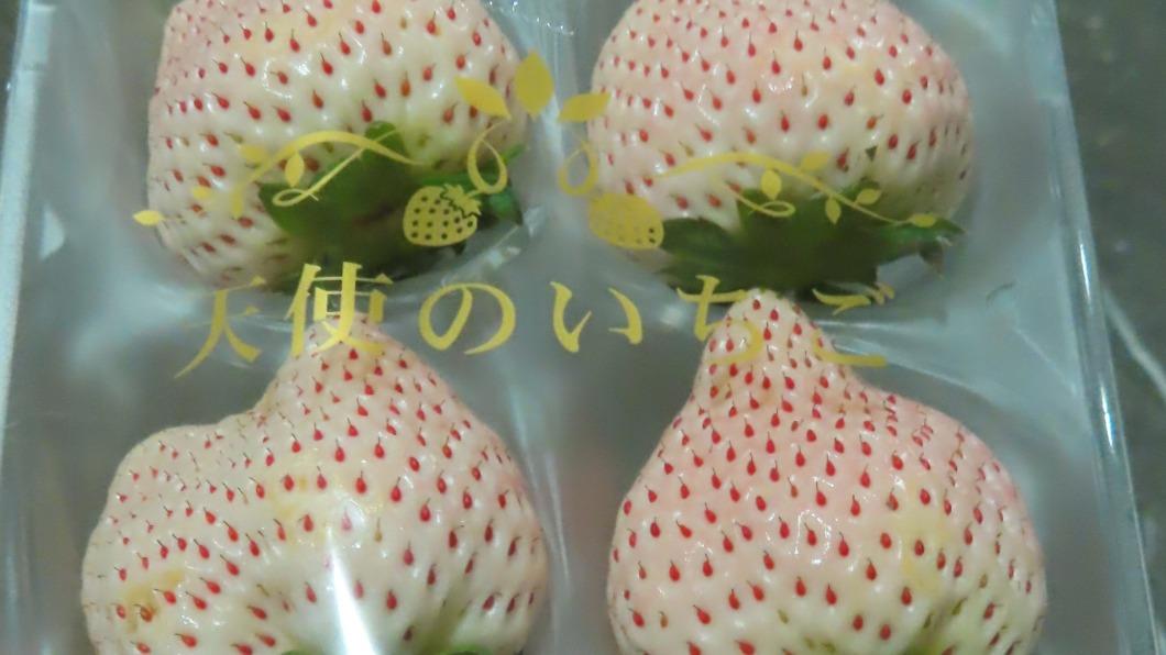 國人愛吃日本草莓。(圖/食藥署提供)