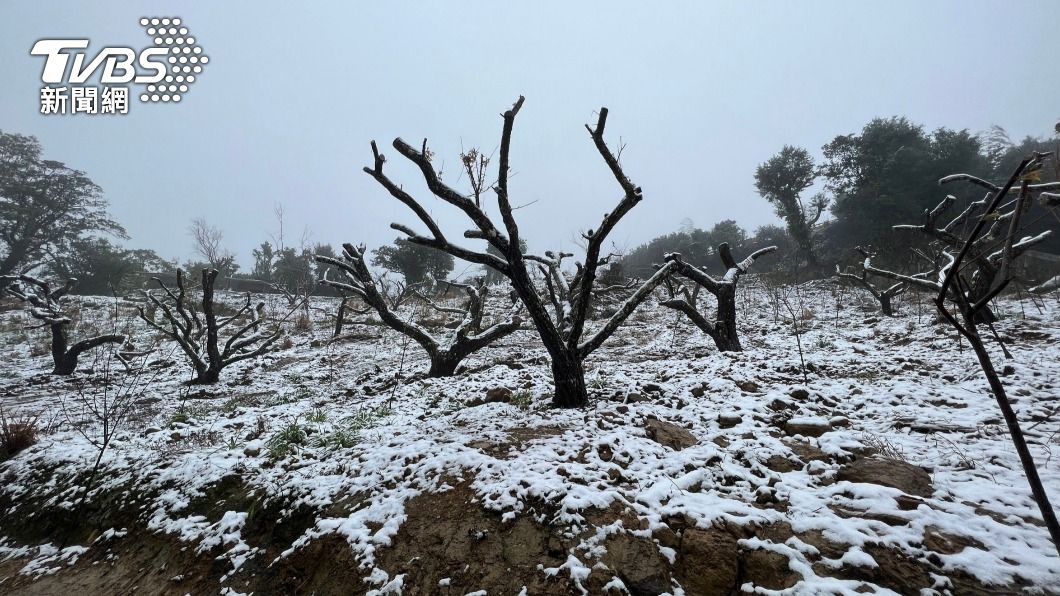 三峽北大清肺農場成「銀白世界」 時隔8年再降雪