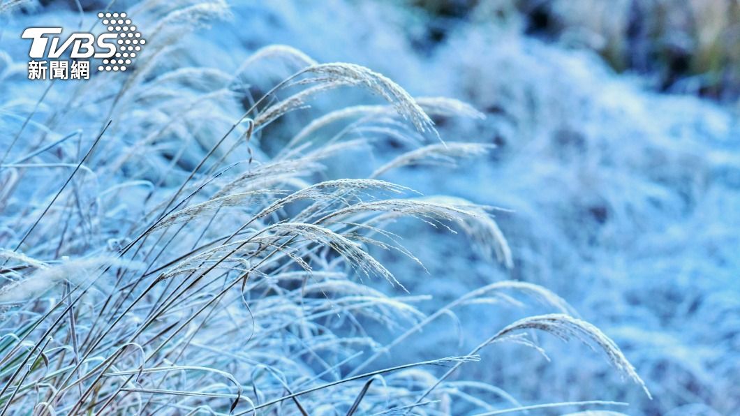 小雪山進入銀白世界。(圖/台中分署提供、林正智攝)