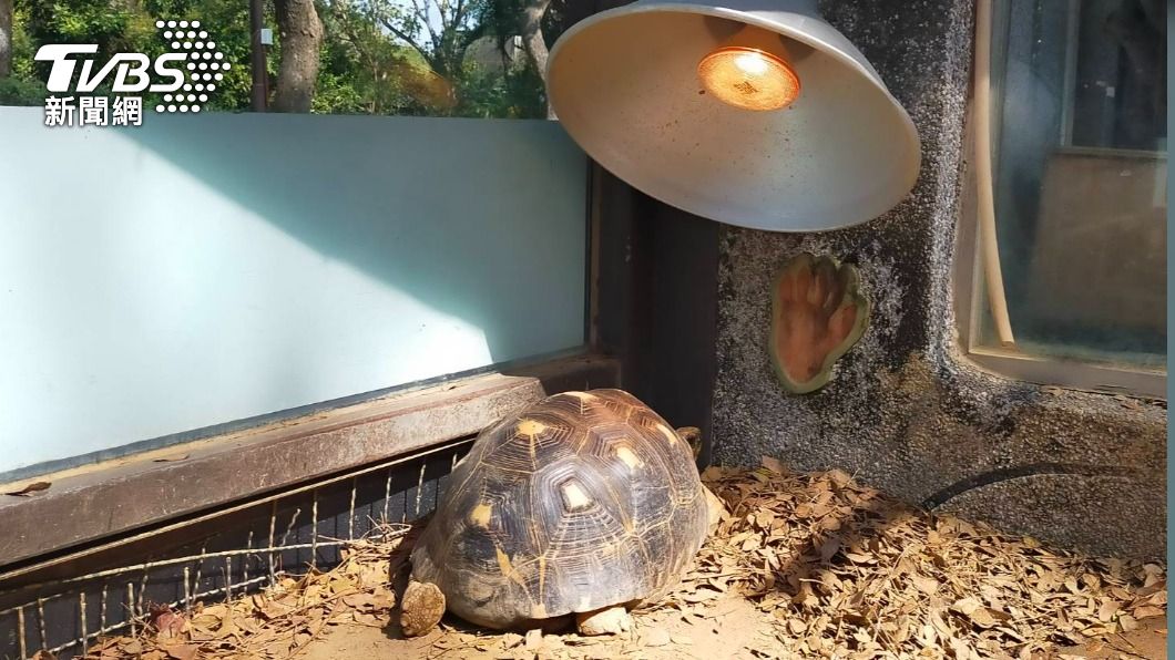 保育員架設保溫燈禦寒。（圖／壽山動物園授權提供）