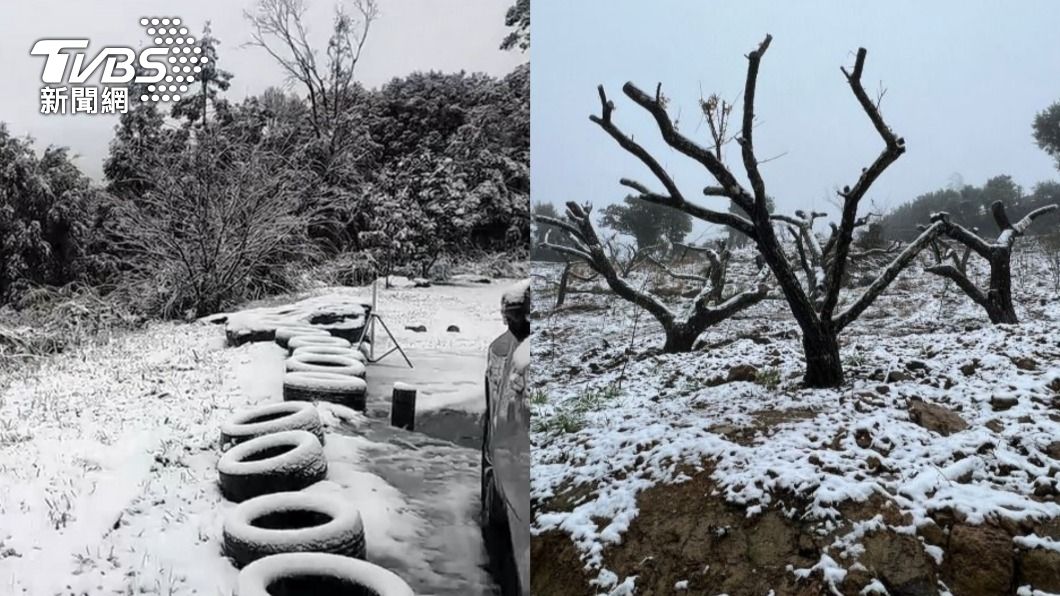 瘋陽明山追雪！他點「沒能力出國賞雪」　台人揭關鍵打臉