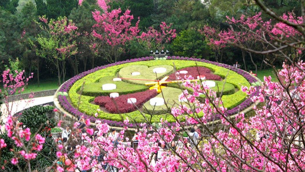 陽明山花季-陽明山花季2025-陽明山花季交通管制-陽明山花季月份-陽明山花季時間-陽明山花季管制-櫻花陽明山-陽明山花季專車-陽明山花季接駁車-陽明山賞櫻