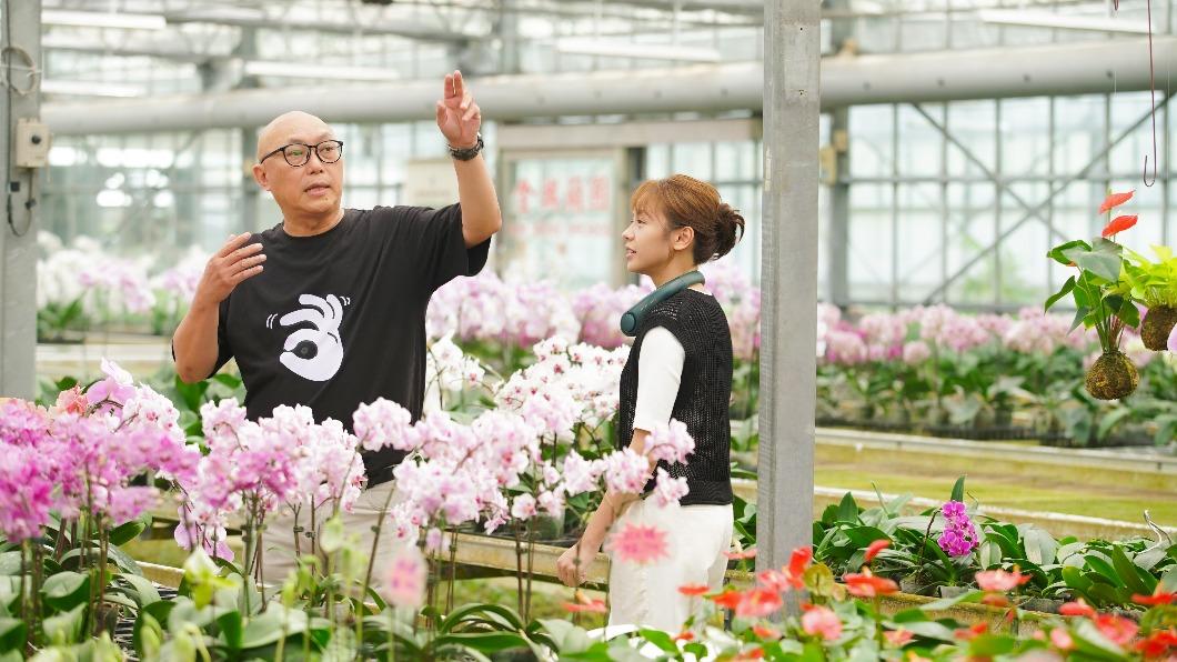 《我的婆婆2》改種蘭花,原生種「台灣阿嬤」意外雷同鍾欣凌角色心境。左為導演鄧安寧,右為黃姵嘉。(圖/公視提供)