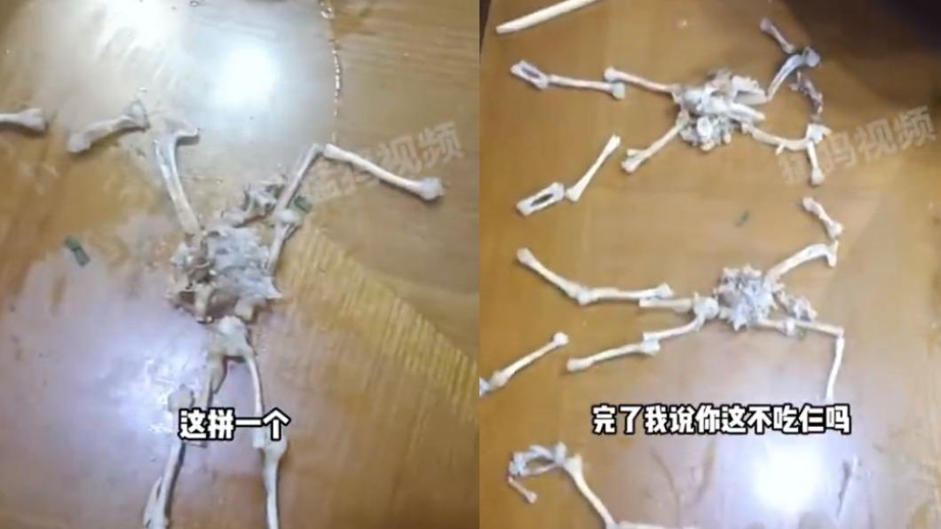 被質疑牛蛙數量不對!陸老闆拼湊「骨頭」證清白 食客尷尬了