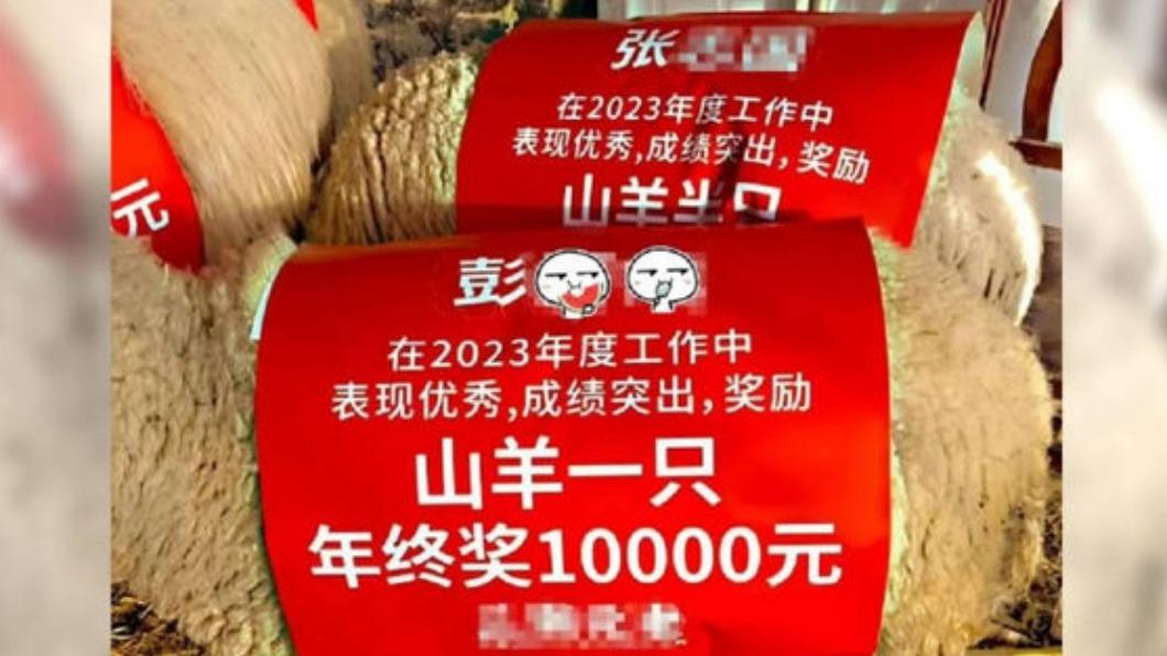 霸氣！年終發「13萬+山羊」巨大紅包照流出　陸公司曝用意
