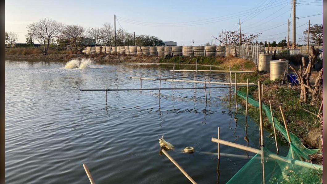 你瘋追雪農漁民卻哭了 寒流災損理賠共368人逾1300萬