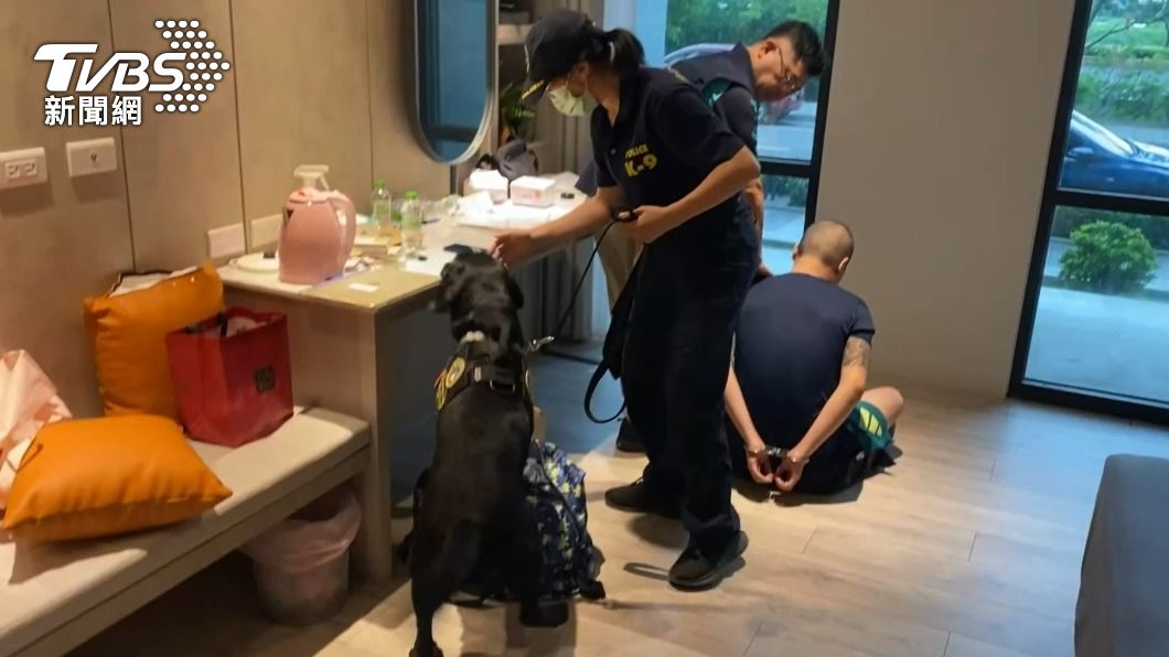 電子偵測犬「Wafer」執行任務。（圖／TVBS）